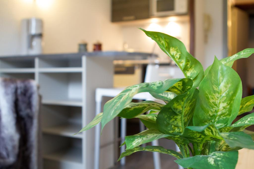 Les Melezes Apartment แซ็งต์-ชาเฟรย์ ห้อง รูปภาพ
