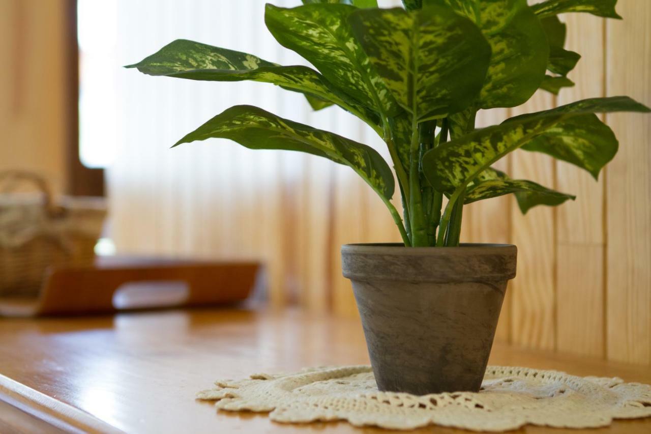Les Melezes Apartment แซ็งต์-ชาเฟรย์ ภายนอก รูปภาพ